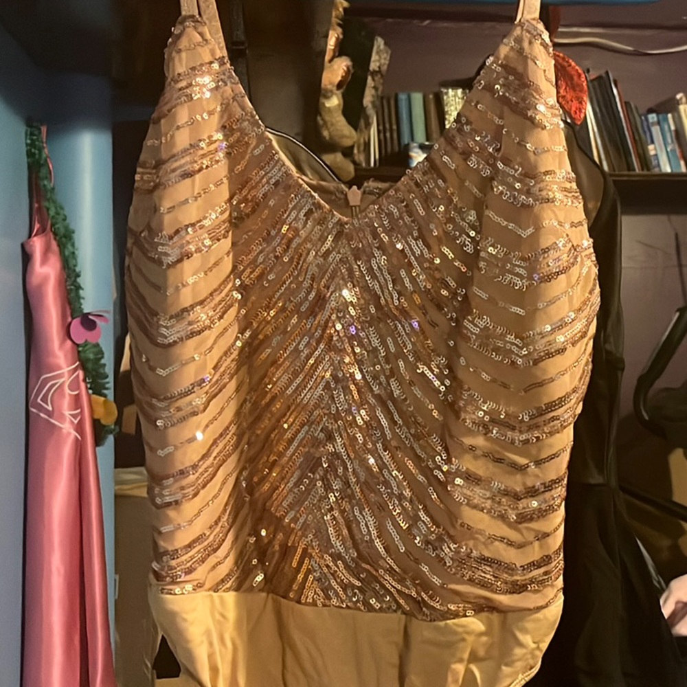 Sequin Gold and Tan body suit